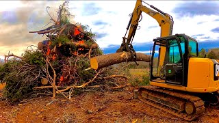 CAT 308 TOSSING LOGS ON THE FIRE… LAND CLEARING CAT STYLE