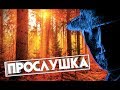 АНОНИМНЫЙ МЕССЕНДЖЕР И ПРОСЛУШКА МОБИЛЬНОГО ТЕЛЕФОНА