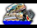 Giant unboxing of the new jw epic evolution collection  allosaurus ekrixinatosaurus  more