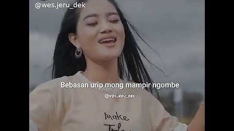 safira inema (ojo ngece karo wong ora ndue)