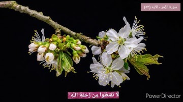 لا تقنطوا من رحمة الله 🤲  سورة الزمر - الآيه ( 53 )