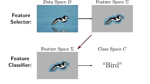 Formal Interpretability with Merlin-Arthur Classifiers.