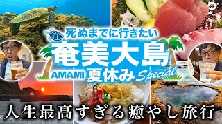 【保存版】奄美大島43歳ひとり旅。海も山も酒も最高すぎた！東洋のガラパゴスのおすすめ絶景スポット・名物グルメ【鹿児島・旅行・観光】