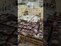 Красильни. Фес. Марокко