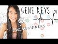 How to read your Gene Keys Profile for Beginners 🌟