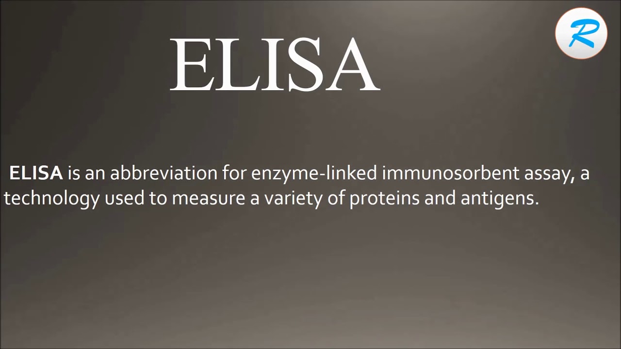 How to pronounce ELISA YouTube