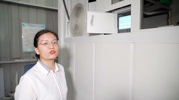 Lyine Group Hydroponic Shipping Container Farm: How it Works & Saves 90% Water