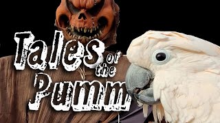 Max the Cockatoo vs The Evil Pumm | A Spooky Halloween Story 🎃👻
