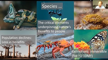 The Science of Half Earth