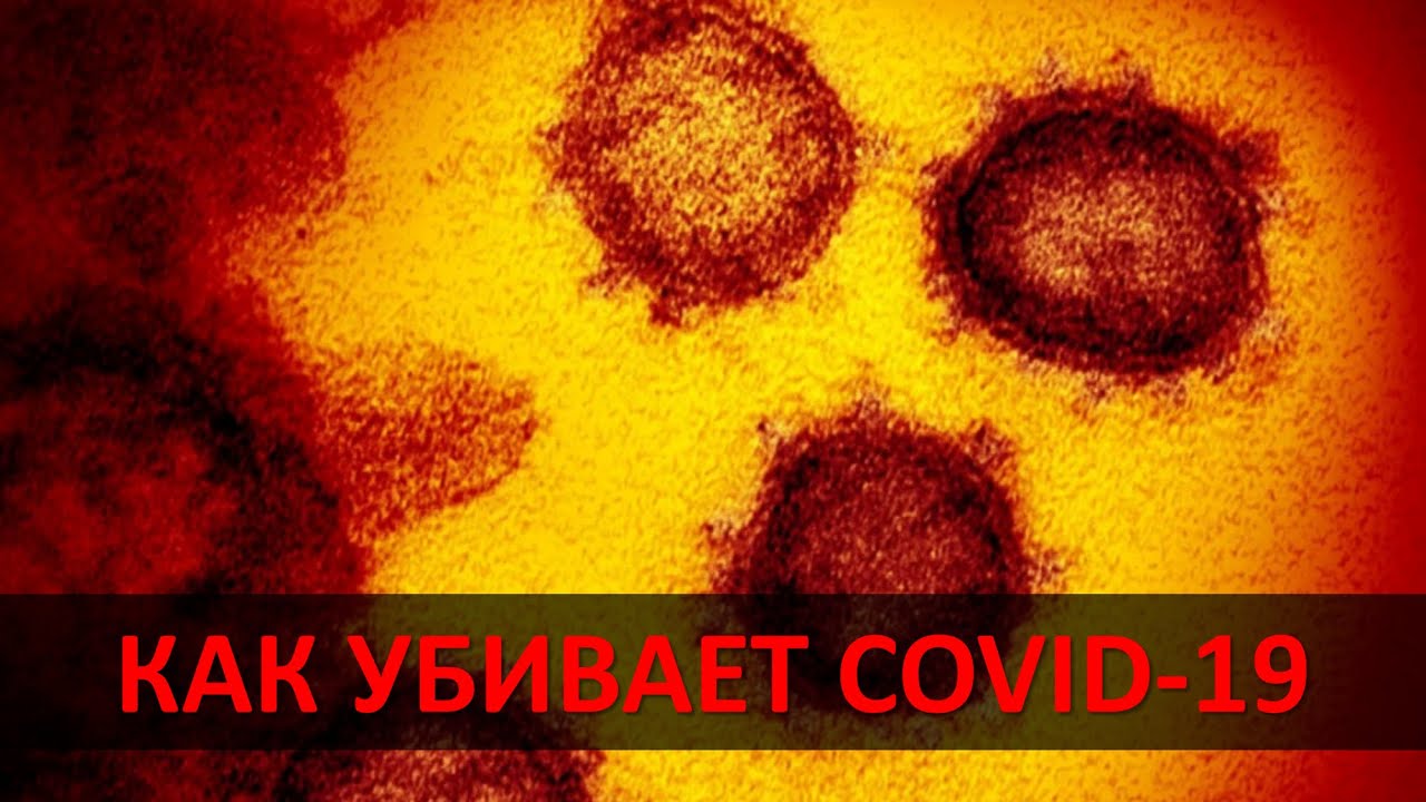 КАК УБИВАЕТ КОРОНАВИРУС: КОВИД-19 АТАКУЕТ ЛЕГКИЕ, СЕРДЦЕ, МОЗГ