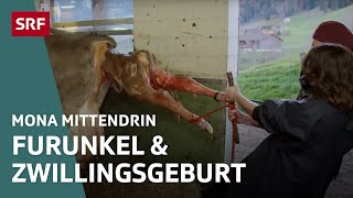 Beim Tierarzt in Appenzell – Von grossen und kleinen Tieren | Mona mittendrin 2021 | SRF Dok