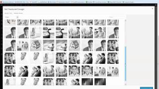 Editing Existing Posts - WordPress 3.8.1