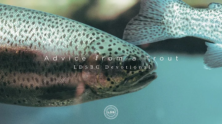 Charles Andersen: Advice from a Trout