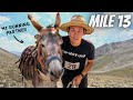 I RAN THE WORLD'S WEIRDEST HALF MARATHON (with a donkey)