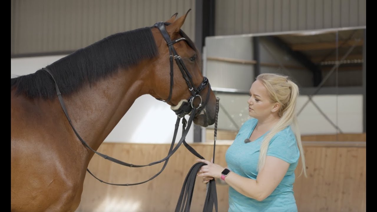 Teaching your horse the Piaffe in hand Kelly de Geus YouTube