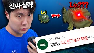 🐠브롱이들의 성원에 힘입어 초심으로 돌아간 브링어의 성장 일대기!! 피드앤그로우 진짜 실력을 보여주마! 🐠