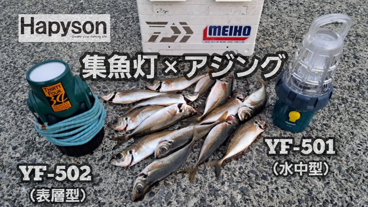 水中撮影【集魚灯×アジング】YF-501集魚効果検証❕#アジング#集魚灯#メバリング