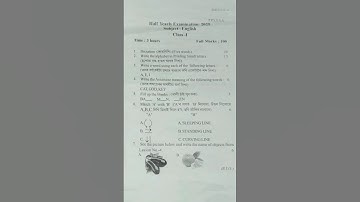 CLASS 1 ENGLISH HALF YEARLY PAPER #SANKARDEV SHISU VIDYA NIKETAN #2025 #SHORTS