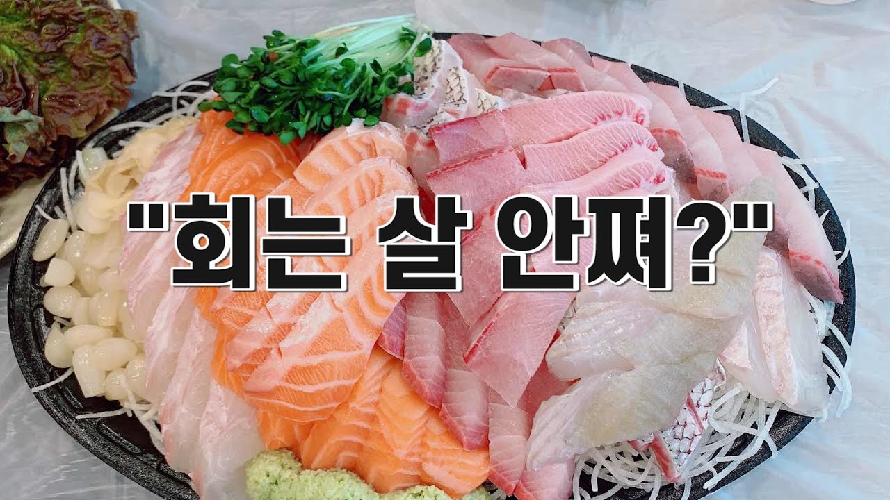 맛있는 회 종류별 칼로리! 회는 정말로 살이 안 찔까?