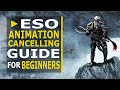 ESO Animation Cancelling Guide For Beginners (Greymoor) - Tips and Tricks