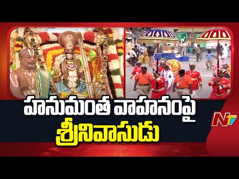 Tirumala: హనుమంత వాహనంపై దర్శనమిచ్చిన శ్రీవారు | NTV Telugu - NTVTELUGU