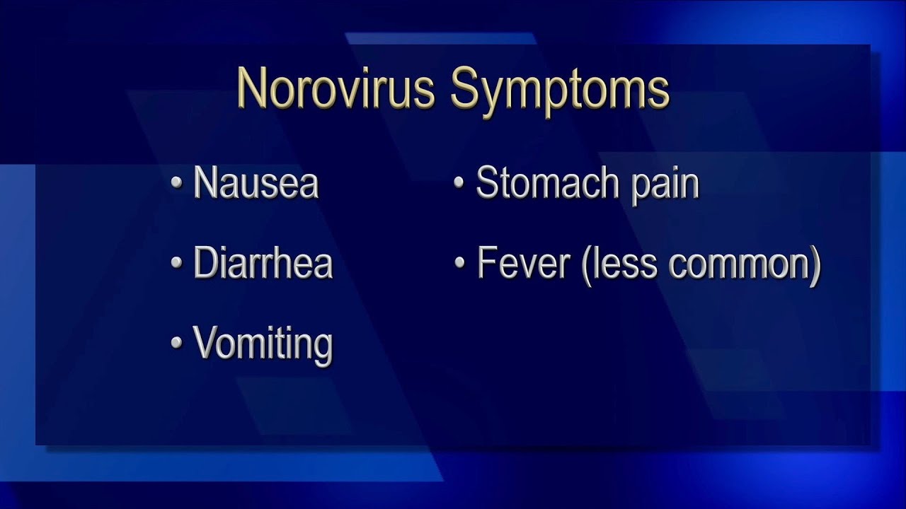 It's peak norovirus season. Here's what you can do to avoid getting ...