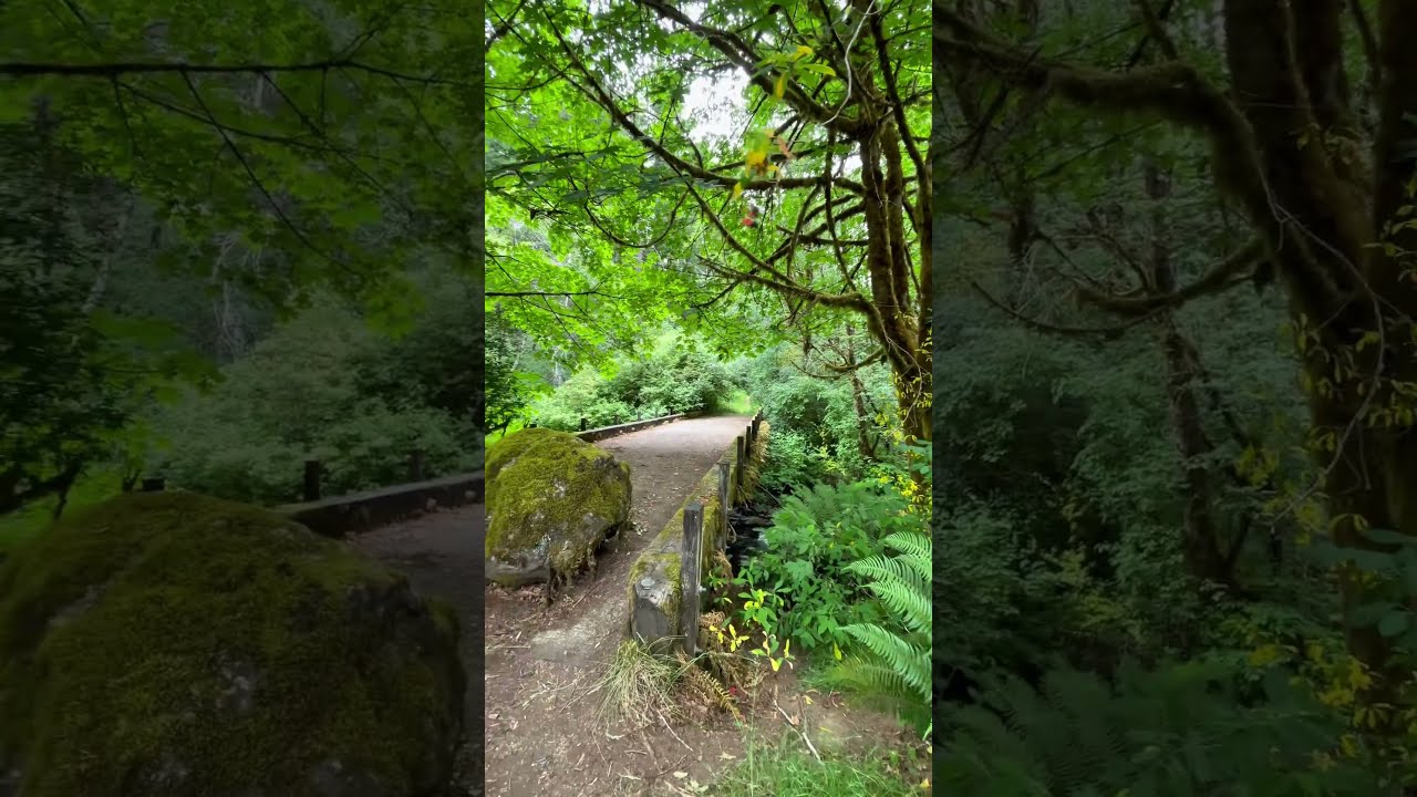 We Need To Check It Out Environmentalcleanup Theroadsbetween
