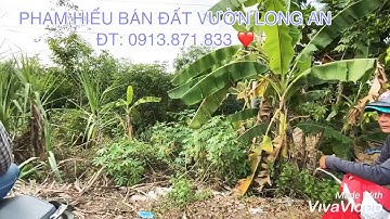 ( ĐÃ BÁN ♥♥️ )BÁN 10MÉT MẶT TIỀN ĐƯỜNG QUỐC LÔ N2 HẬU DÀI 140M GIÁ 3.100.000.000 Đ