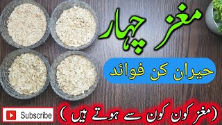 Char magaz benefits |Char magaz kon kon sy hoty hain| Cucumber,melon,pumpkin seeds Benefits| 4 Magaz