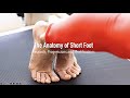 The Anatomy of Short Foot Exercise | Educational Webinar with Dr Emily