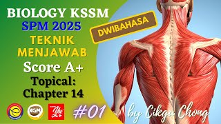 Biology SPM 2025 Paper 2 - Score A+ Series, Focus on Form 4 Chapter 14 #01