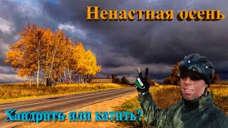 картинка: Ненастная осень. Хандрить или катить?