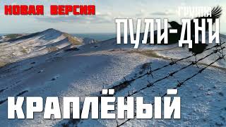 Группа Пули Дни   Краплёный