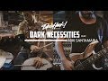 Red hot chili peppers  dark necessities  deivhook ft miki santamaria drum  bass cover