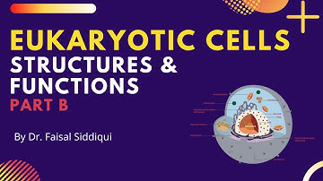 Eukaryotic Cell structure and functions Part 2