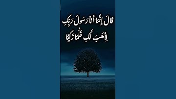 قراءة خاشعة تُريح القلب 🎧 سورة مريم بصوت جميل ومؤثر يجعلك تبكي 😢