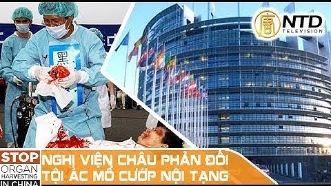 Nghị viện Châu Âu thông qua Nghị Quyết phản đối nạn Mổ cướp nội tạng tại Trung Quốc - Phần 2