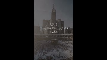 تلاوة خاشعة و هادئة للقارئ عبدالرحمن ناجي لسورة ابراهيم بترتيل جميل #عبدالرحمن_ناجي #محمد_اللحيدان