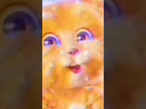 اغنية كتبوا كتابك بدون موسيقى