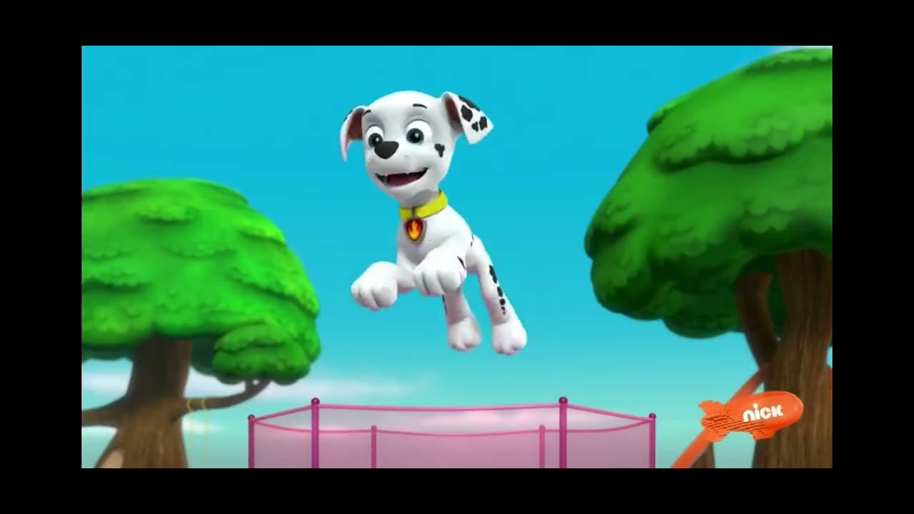 Marshall’s Weekly Wipeouts! (Pups Save a School Bus) (PAW Patrol)