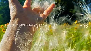 Download Lagu walking in a field of flowers | celebrating the summer MP3