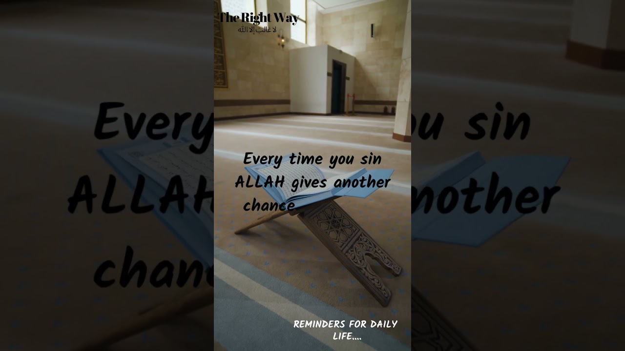 Reminders for daily life 57 #allah#therightway#believe#dailyreminders #shorts#ytshortsindia#ytshorts