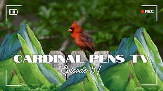 Cardinal Pens TV Episode 51 - Ink Is Here!