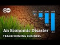 How to stop droughts from causing agricultural crises? | Transforming Business
