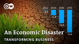 Billions in damages: How to stop the drought crisis? | Transforming Business