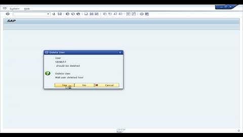Delete user in SAP