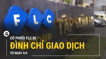Cổ phiếu FLC bị đình chỉ giao dịch từ 9/9 | Truyền hình Quốc hội Việt Nam