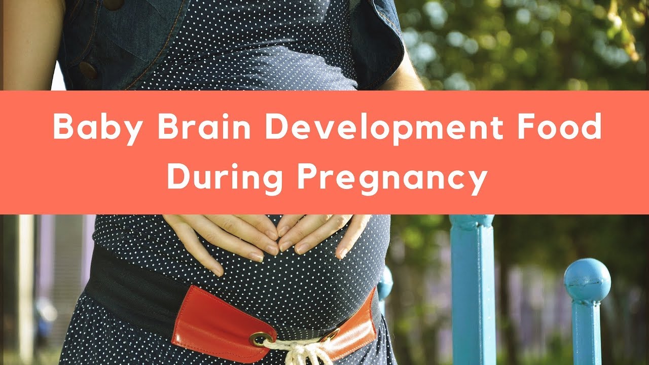 Baby Brain Development Food Baby Brain Development Food During 