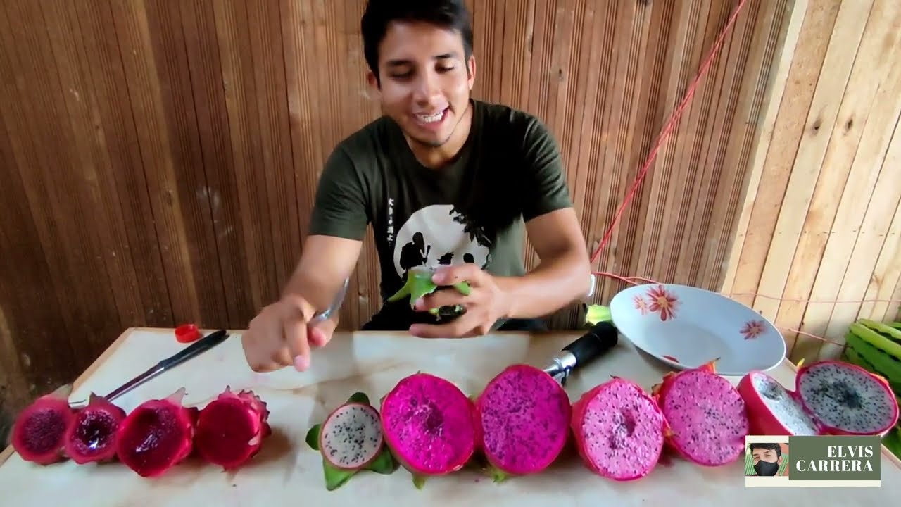 Pitahaya, Undatus, Graffiti, American, Connie mayer, Polirhizus..👉Color y grados brix(dulzor)🐉