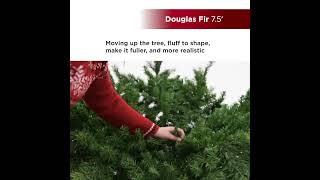 7.5 ft. Douglas Fir Full Christmas Tree with 3000 Twinkling Dual LED Lights